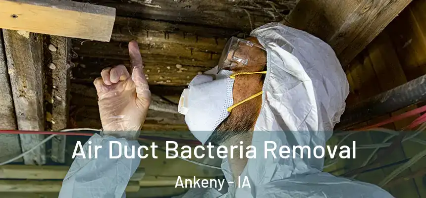  Air Duct Bacteria Removal Ankeny - IA