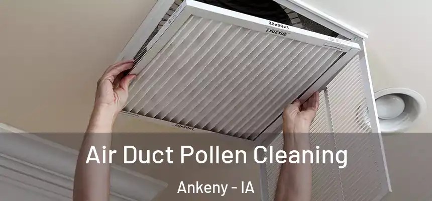  Air Duct Pollen Cleaning Ankeny - IA