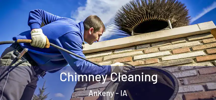 Chimney Cleaning Ankeny - IA