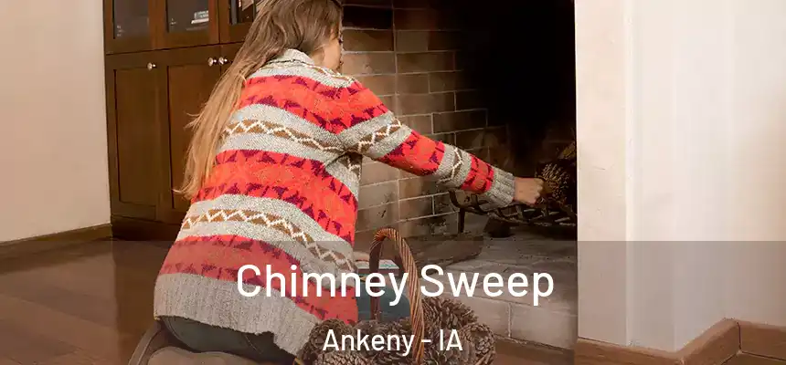Chimney Sweep Ankeny - IA