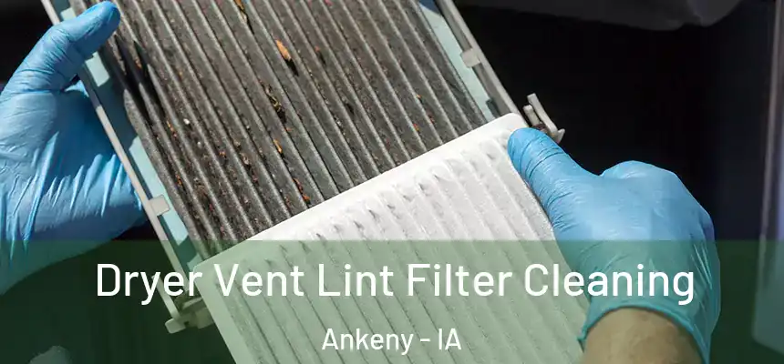 Dryer Vent Lint Filter Cleaning Ankeny - IA