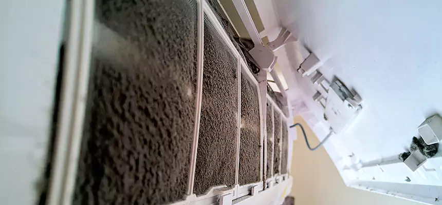 Preventive Air Duct Bacteria Removal in Ankeny