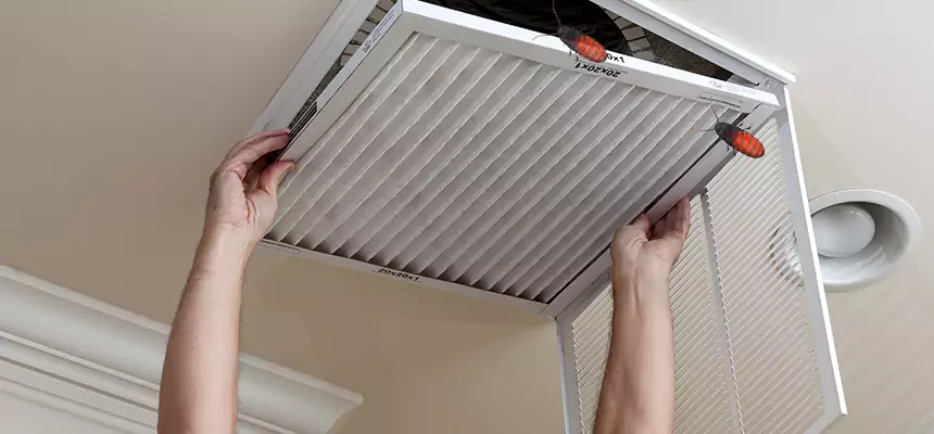 Preventive Cockroach-Proofing for Ducts in Ankeny