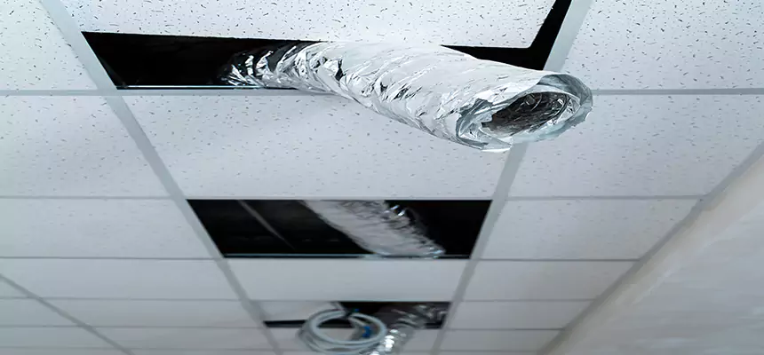 Our Air Duct Pet Hair Removal Services in Ankeny, IA