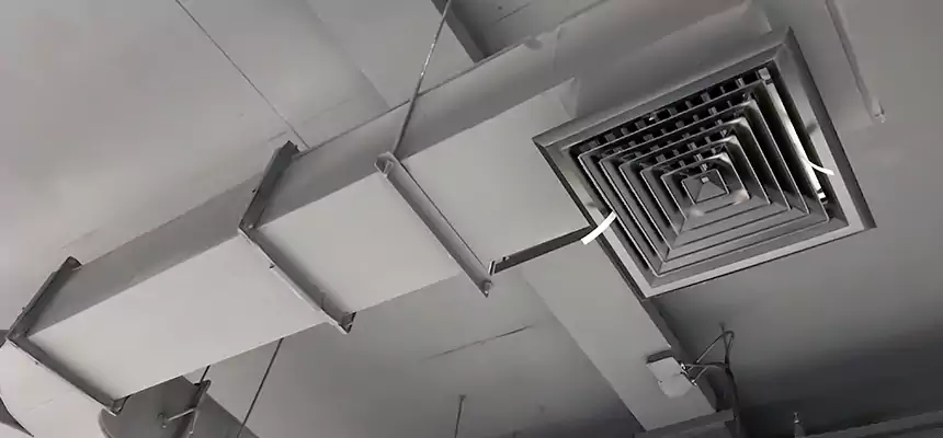 Restorative Allergy Relief Vent Cleaning – Coil, Blower & Housing Detail in Ankeny