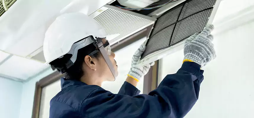 Our Mold & Mildew Removal from Air Ducts Services in Ankeny, IA