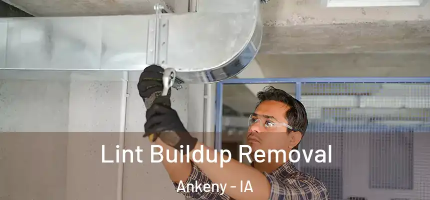  Lint Buildup Removal Ankeny - IA
