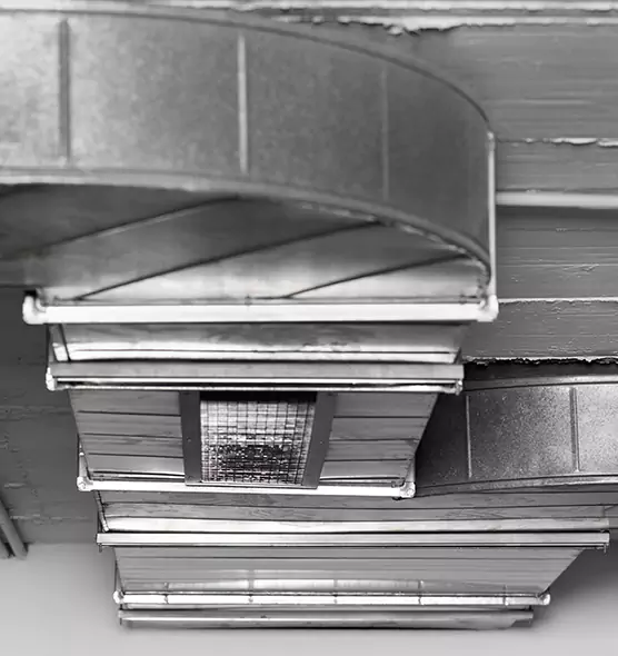 Professional Air Duct Pest Removal in Ankeny, IA