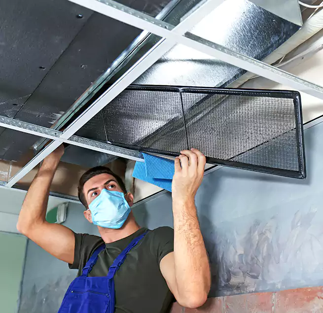 Why Homeowners Businesses Trust Us in Ankeny, IA