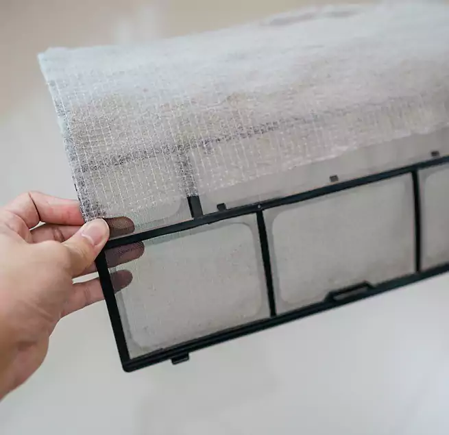 Why Homeowners & Businesses Trust Us in Ankeny, IA?