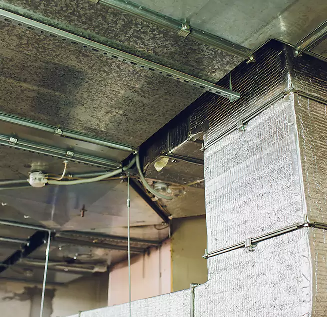 Why Homeowners & Businesses Trust Us in Ankeny, IA?