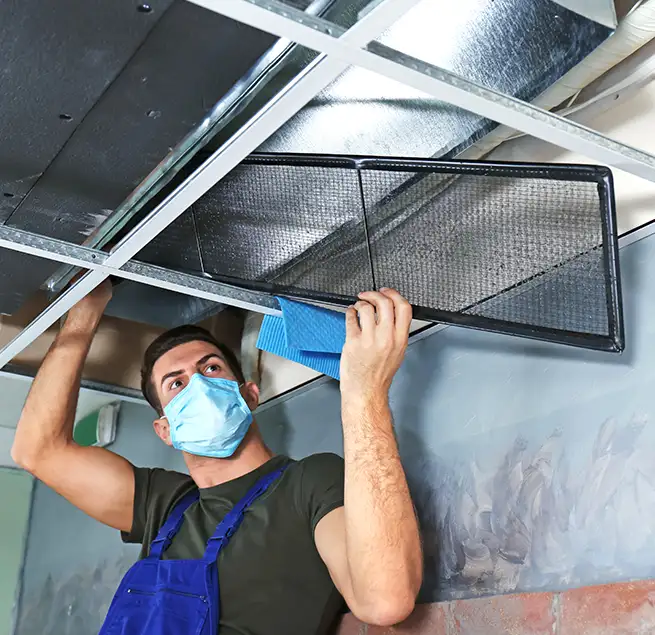 Why Homeowners & Businesses Trust Us in Ankeny, IA?